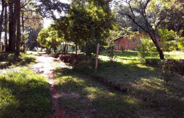 Se vende terreno en Colonia Yguazu