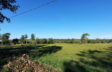 GRANJA REPATRIACION 46,8 hectáreas